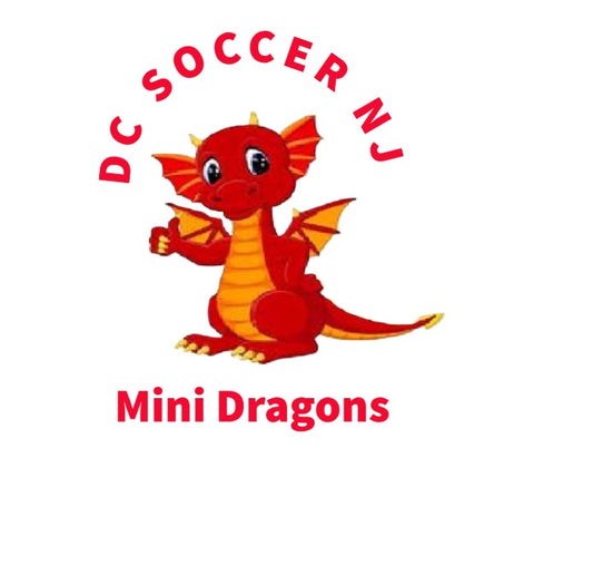 DC Soccer NJ Mini Dragons Aged 4 (Glen Rock NJ Saturdays 10am-11am)