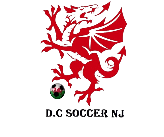 DC Soccer NJ 